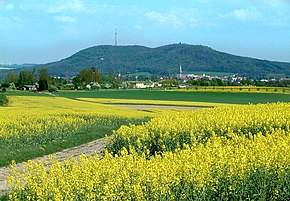 Pohled na dvojitý čedičový vrch Löbauer Berg a Schafberg, pro který je Löbau označováno jako „město kopců“.