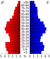 Bevolkingspiramide Salem County