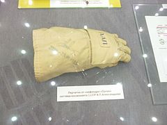 A.P. Aleksandrov's Space suit Glove.jpg