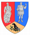 Actual Hunedoara county CoA.png