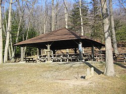 One of the pavilions built by the CCC at Black Moshannon State Park in Rush Twp.