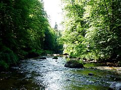 Die Feldaist, ein Fluss im Mühlviertel