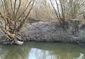 Hármasi or Keszler mill, the current riverbed of Zala at the former mill, remains of the sluice system in the background, Batyk