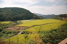 Korea-Gyeongju-Rice paddy field-01.jpg