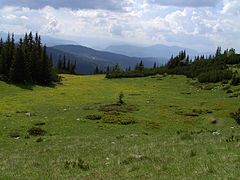 planina Ljubišnja