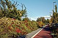 * Nomination View of the bikeway, Rue Frédéric Combemale, in Lille, France --Velvet 06:46, 30 October 2024 (UTC). Good, but please remove the dustspot in the sky at left. --Cayambe 10:40, 3 November 2024 (UTC)  Done Thank you for your review. --Velvet 11:47, 4 November 2024 (UTC) * Promotion Good quality now. --Cayambe 12:44, 4 November 2024 (UTC)