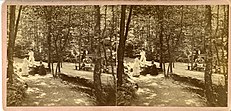 Rose Hill Cemetery, visitors' spring, circa 1877