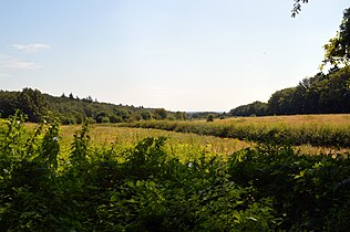 Uitzicht vanaf de Stuwwal