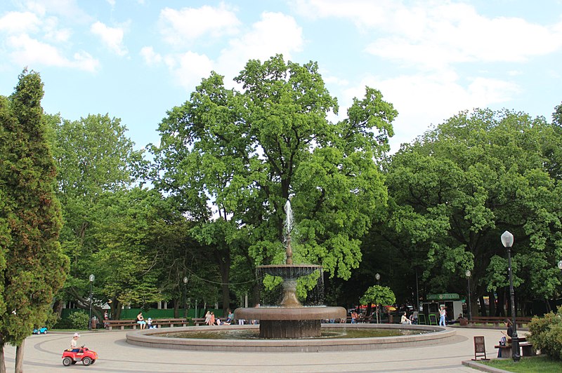 File:Голосіївський парк IMG 9716 stitch.jpg