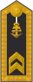 Schulterklappe Dienstanzug Marineuniformträger 60er Verwendungsreihen