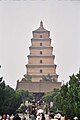 大雁塔/Wild goose pagoda / Pagoda de la oca salvaje