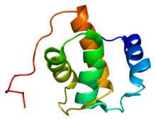 Protein REPS1 PDB 1fi6.png