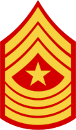 E-9 Sergeant Major (SgtMaj)