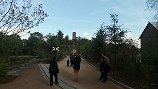 Vue sur l'allée de Pseudotsuga dans la Terre du Froid de Pairi Daiza.