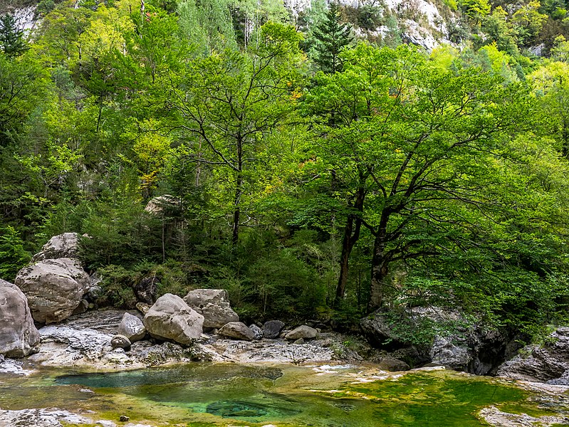 File:Cañón de Añisclo - Río Bellós 12.jpg