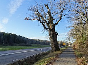 Hagstaeken (Huddinge kommun).