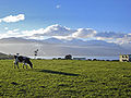 "Kaikoura_panorama.jpg" by User:Frando