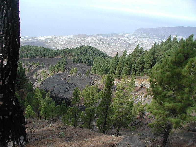 File:Refugio Pilar PIC00074.JPG