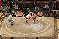 Sumo fight in the Kokugikan in Tokyo, Japan