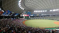 MetLife Seibu Dome