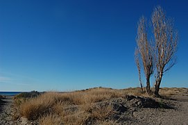 Chubut Landscape.jpg