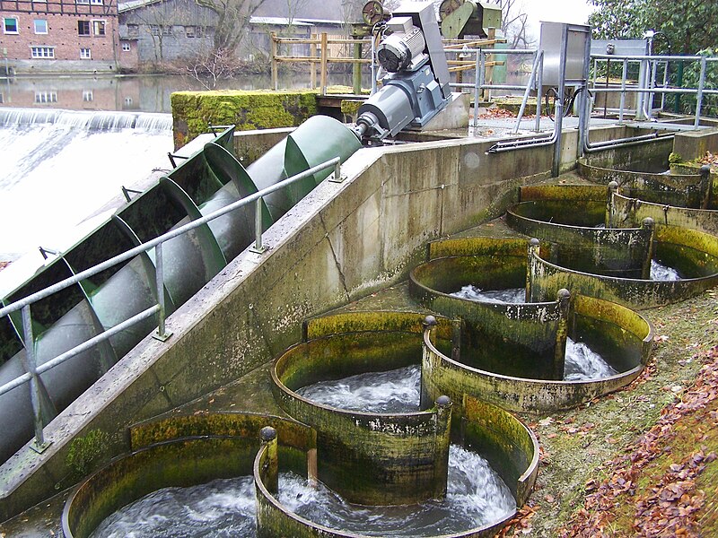 File:Fischtreppe Schloss Laer.jpg