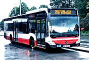 Citaro C2 (cat.)