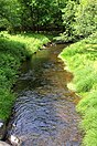 Balliet Run, a Class A Wild Trout stream