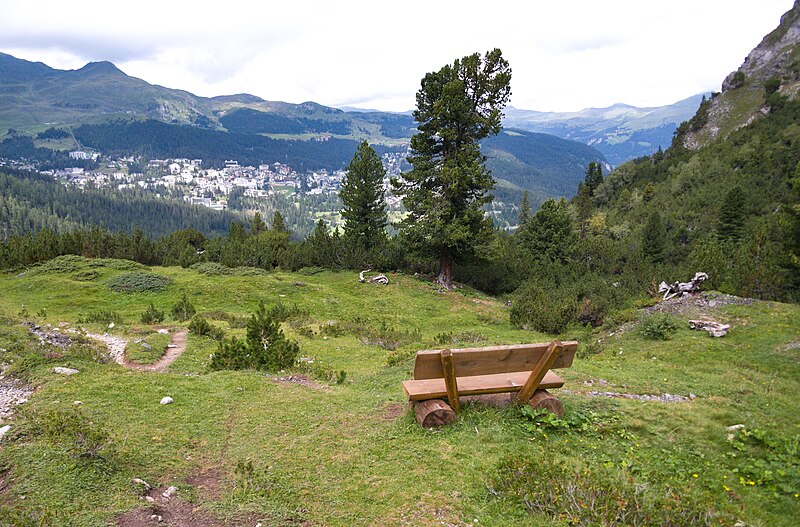 File:Bench and Arosa.jpg