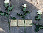 Stolpersteine in Tiel