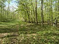 Kreuzwegstationen im westlichen Außenbereich, Bökendorf, (Liste der Baudenkmäler in Brakel)