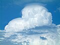 Cumulonimbus pileus