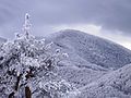 Winter in Shipka Pass