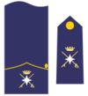 Coronel