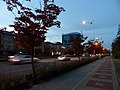 Bicycle lane with sidewalk - Jeonju, South Korea.