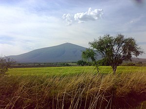 Field near Salamanca, Guanajuato.