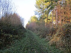 Ride in Great Colsters - geograph.org.uk - 6332388.jpg