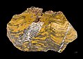   Stromatolites from Pilbara craton - Western Australia.