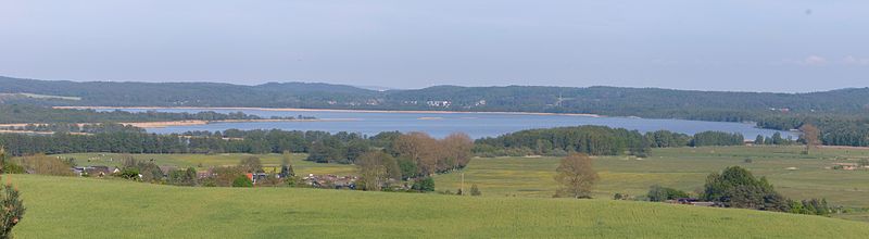 File:Thurbruch Gothensee-Südteil Kückelsberg Reetzow.jpg