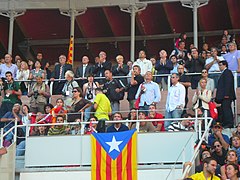 Concurs de Castells 2008 P1220786.JPG