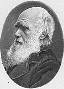 Hw-darwin.jpg