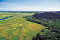 "Kakadu_1752.jpg" by User:Nttc