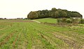 Mühlenberg mit dem Standort der Windmühle