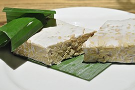 Tempeh 003.jpg