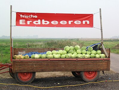 Dithmarscher Erdbeeren [von Southpark geklaut] Siehe auch: Schilderwald Außenstelle Westküste)