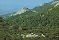 La cupola fonolitica di Monte Ala (844 m s.l.m.[7]) tra la lecceta dietro Cuglieri