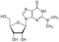 Image illustrative de l’article N2,N2-Diméthylguanosine