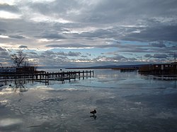 Neziderské jezero v zimě