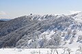 霊仙山の霧氷（滋賀県米原市）