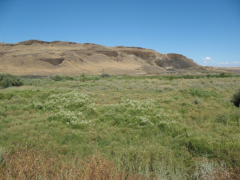 File:Desert meadow in Eastern Washington.jpg